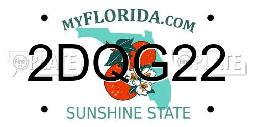 2DQG22 Florida License Plate