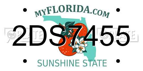 2DS7455 Florida License Plate