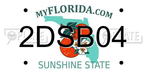 2DSB04 Florida License Plate