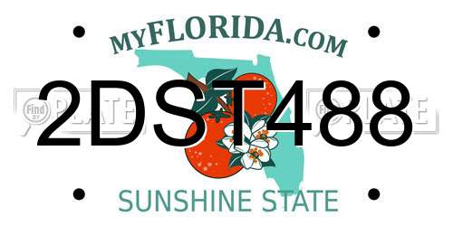 2DST488 Florida License Plate