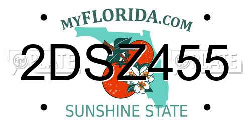 2DSZ455 Florida License Plate