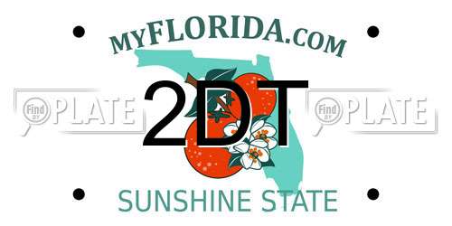 2DT Florida License Plate