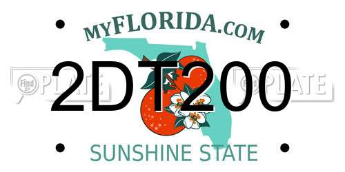 2DT200 Florida License Plate