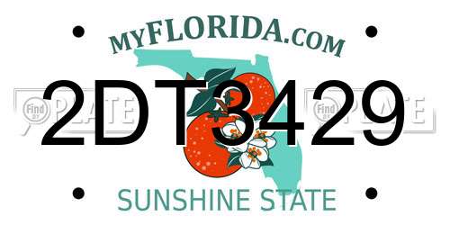 2DT3429 Florida License Plate