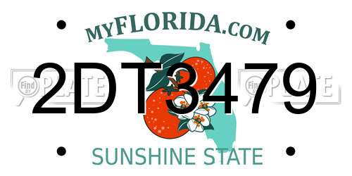 2DT3479 Florida License Plate