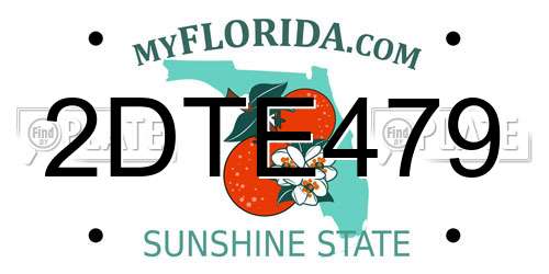 2DTE479 Florida License Plate