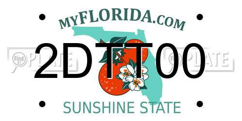 2DTT00 Florida License Plate