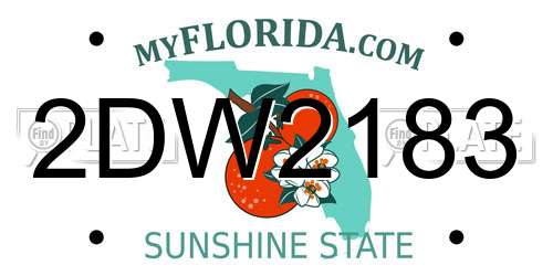 2DW2183 Florida License Plate
