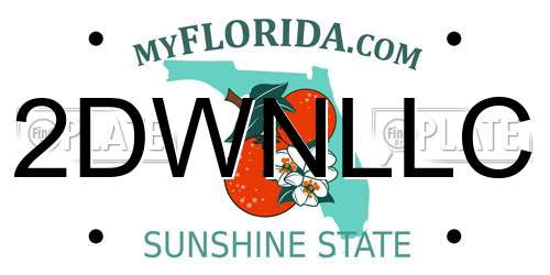 2DWNLLC Florida License Plate