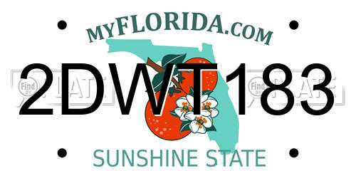 2DWT183 Florida License Plate