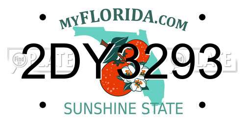 2DY3293 Florida License Plate