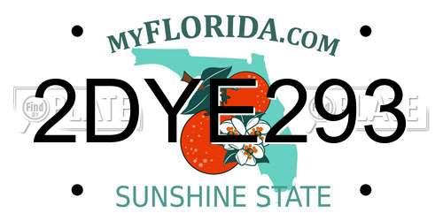 2DYE293 Florida License Plate