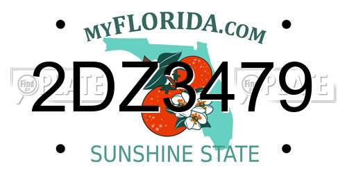 2DZ3479 Florida License Plate