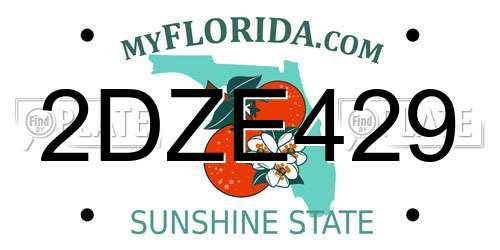 2DZE429 Florida License Plate