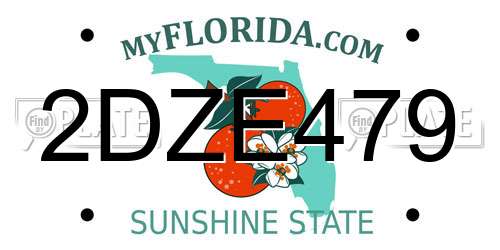 2DZE479 Florida License Plate