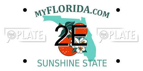 2E Florida License Plate