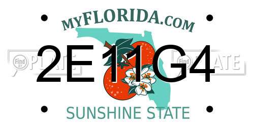 2E11G4 Florida License Plate