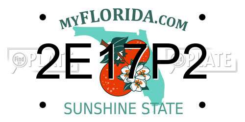2E17P2 Florida License Plate