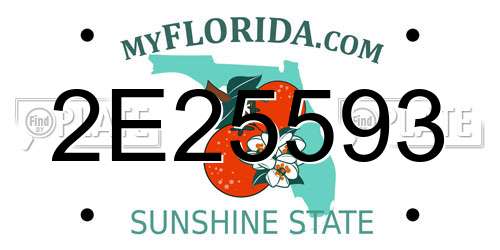 2E25593 Florida License Plate