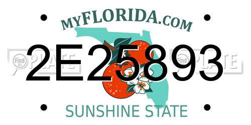 2E25893 Florida License Plate