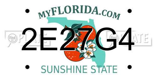 2E27G4 Florida License Plate