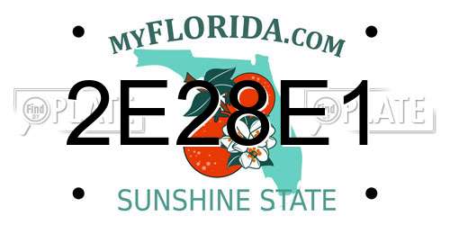 2E28E1 Florida License Plate