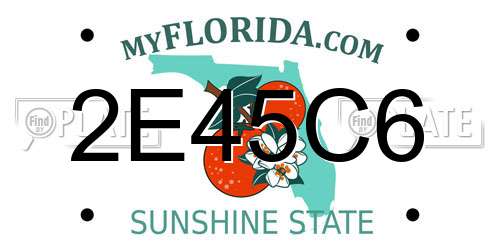 2E45C6 Florida License Plate