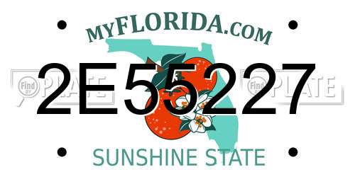 2E55227 Florida License Plate
