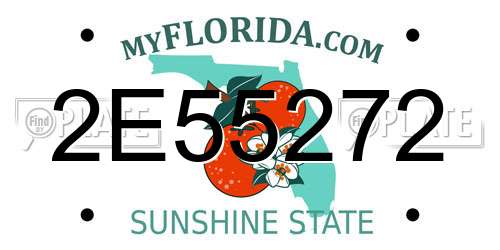 2E55272 Florida License Plate