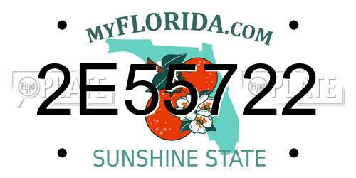 2E55722 Florida License Plate