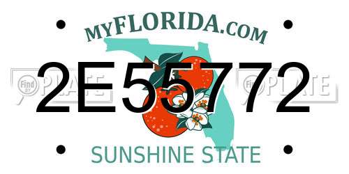 2E55772 Florida License Plate