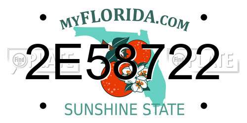 2E58722 Florida License Plate