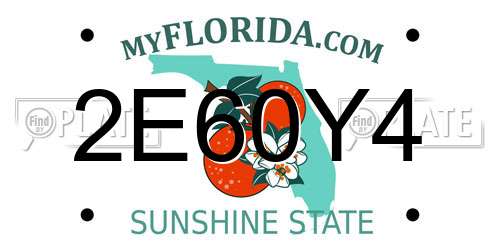 2E60Y4 Florida License Plate