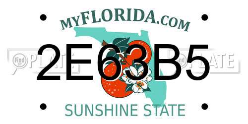 2E63B5 Florida License Plate