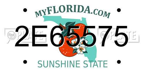 2E65575 Florida License Plate