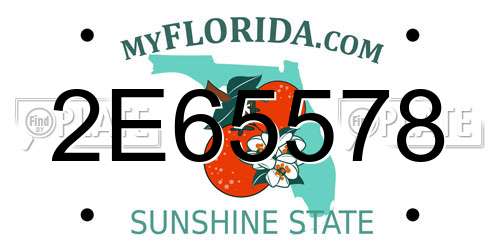 2E65578 Florida License Plate