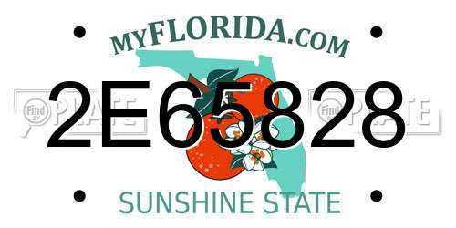 2E65828 Florida License Plate