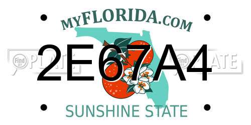2E67A4 Florida License Plate
