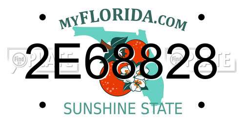 2E68828 Florida License Plate