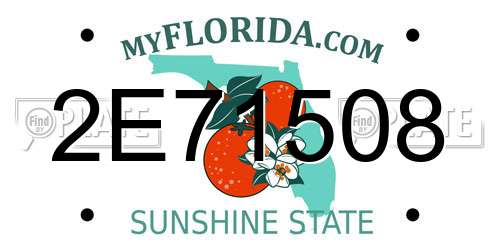 2E71508 Florida License Plate