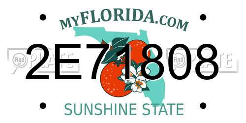 2E71808 Florida License Plate