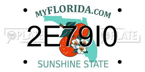 2E79I0 Florida License Plate