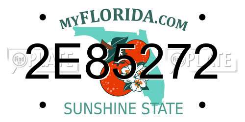 2E85272 Florida License Plate
