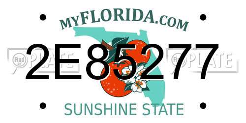 2E85277 Florida License Plate
