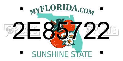 2E85722 Florida License Plate