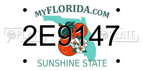 2E9147 Florida License Plate