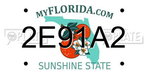 2E91A2 Florida License Plate