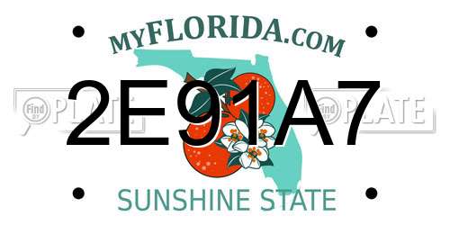 2E91A7 Florida License Plate