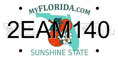 2EAM140 Florida License Plate