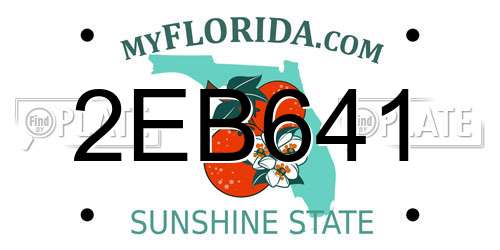 2EB641 Florida License Plate
